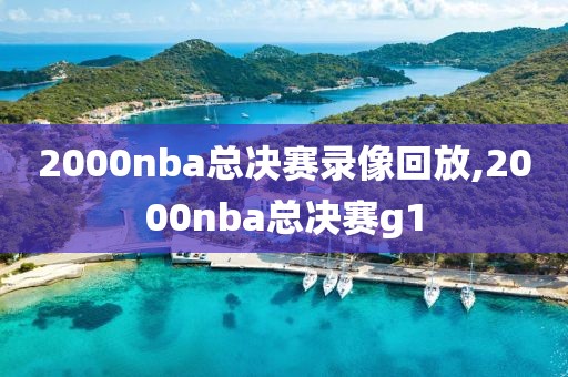 2000nba总决赛录像回放,2000nba总决赛g1