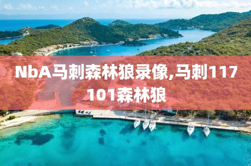 NbA马刺森林狼录像,马刺117101森林狼