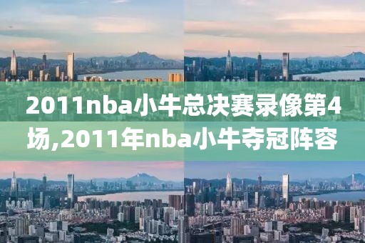 2011nba小牛总决赛录像第4场,2011年nba小牛夺冠阵容