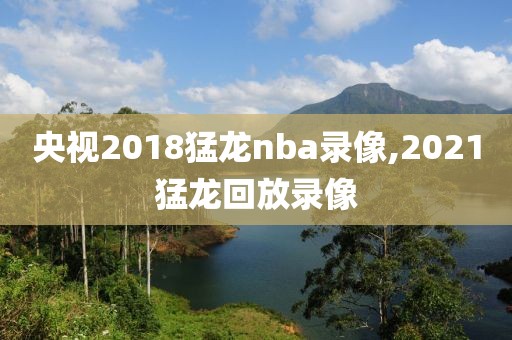 央视2018猛龙nba录像,2021猛龙回放录像