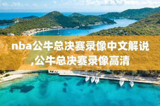 nba公牛总决赛录像中文解说,公牛总决赛录像高清