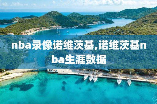 nba录像诺维茨基,诺维茨基nba生涯数据