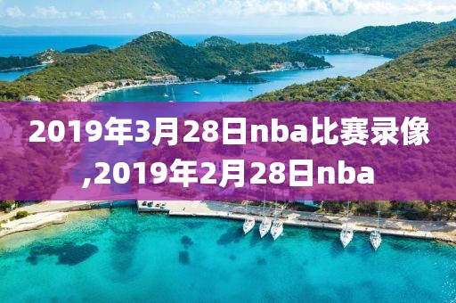 2019年3月28日nba比赛录像,2019年2月28日nba