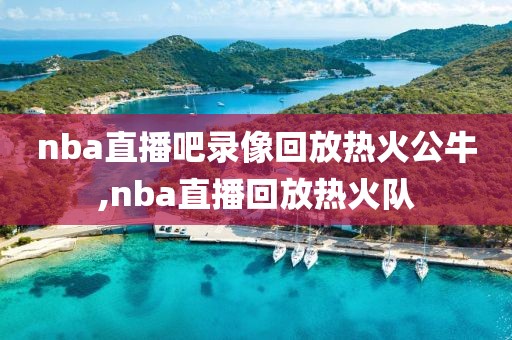 nba直播吧录像回放热火公牛,nba直播回放热火队