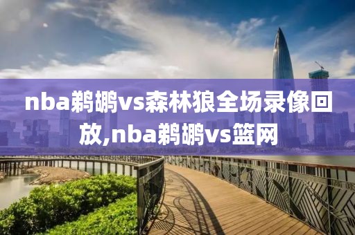 nba鹈鹕vs森林狼全场录像回放,nba鹈鹕vs篮网