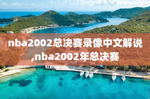 nba2002总决赛录像中文解说,nba2002年总决赛