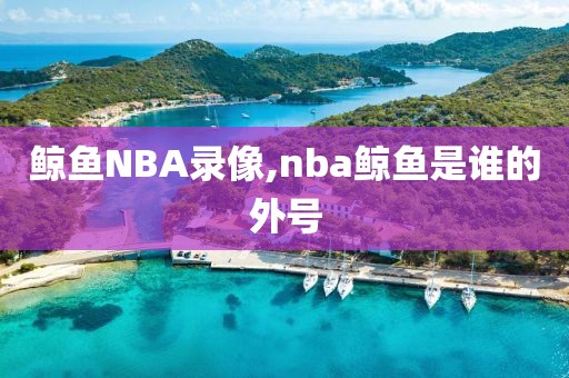 鲸鱼NBA录像,nba鲸鱼是谁的外号