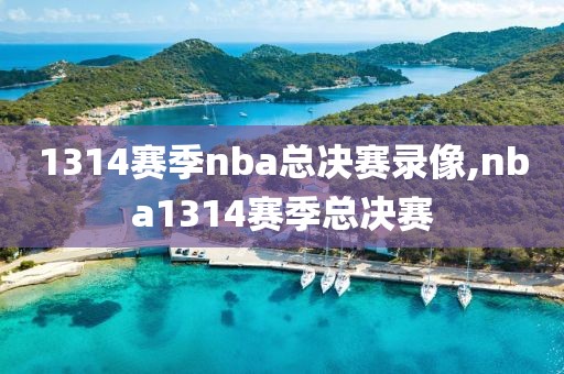 1314赛季nba总决赛录像,nba1314赛季总决赛