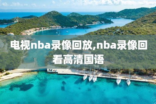 电视nba录像回放,nba录像回看高清国语
