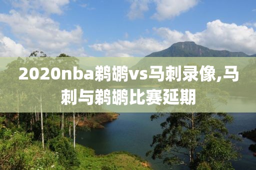 2020nba鹈鹕vs马刺录像,马刺与鹈鹕比赛延期