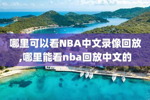 哪里可以看NBA中文录像回放,哪里能看nba回放中文的