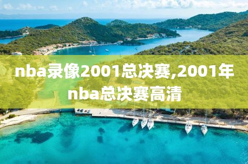 nba录像2001总决赛,2001年nba总决赛高清