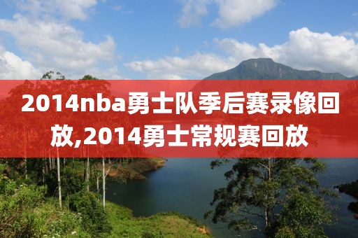 2014nba勇士队季后赛录像回放,2014勇士常规赛回放