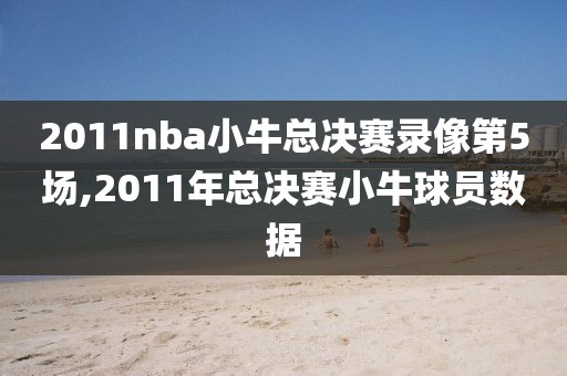 2011nba小牛总决赛录像第5场,2011年总决赛小牛球员数据