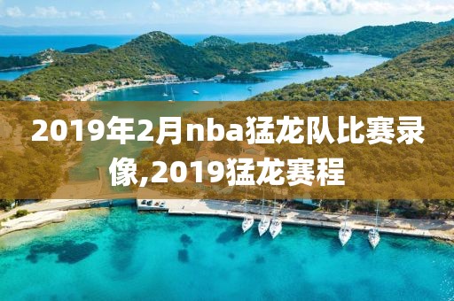2019年2月nba猛龙队比赛录像,2019猛龙赛程
