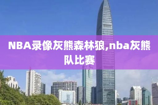 NBA录像灰熊森林狼,nba灰熊队比赛