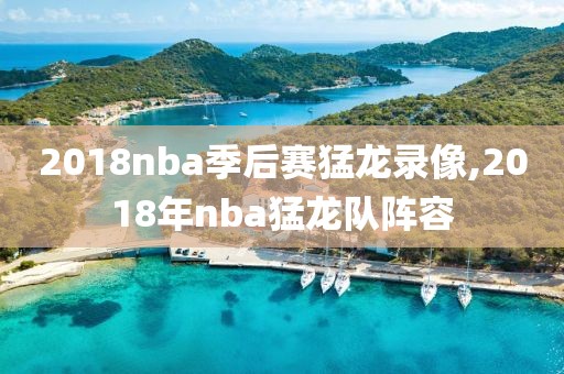 2018nba季后赛猛龙录像,2018年nba猛龙队阵容 2018nba季后赛猛龙录像,2018年nba猛龙队阵容