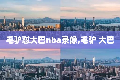 毛驴怼大巴nba录像,毛驴 大巴