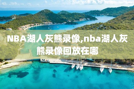 NBA湖人灰熊录像,nba湖人灰熊录像回放在哪