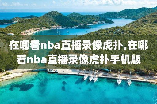 在哪看nba直播录像虎扑,在哪看nba直播录像虎扑手机版