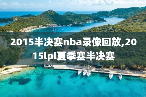 2015半决赛nba录像回放,2015lpl夏季赛半决赛