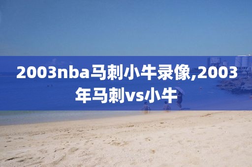 2003nba马刺小牛录像,2003年马刺vs小牛