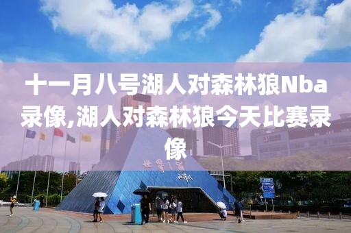 十一月八号湖人对森林狼Nba录像,湖人对森林狼今天比赛录像